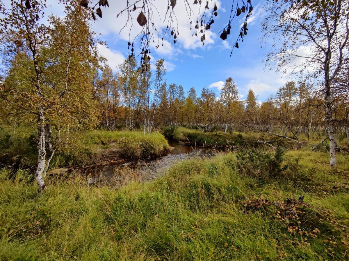 Villa Lavijoki Каресуванто Екстериор снимка